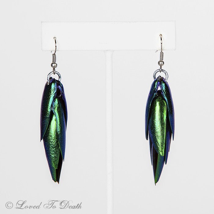 Genuine Beetle Elytra Earrings - Loved To Death