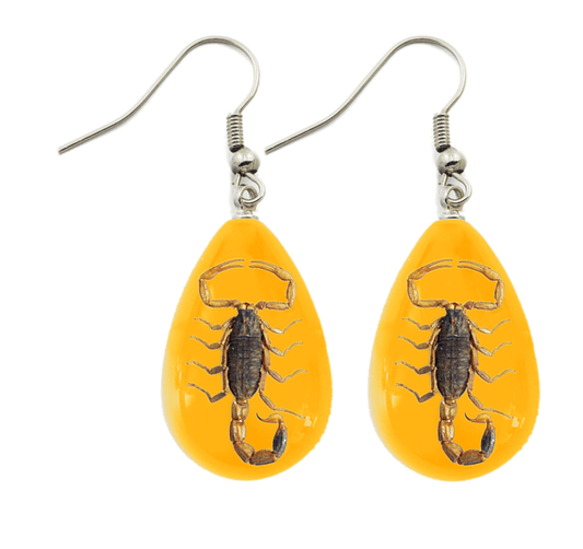 Golden Scorpion Lucite Amber Color Earrings - Loved To Death