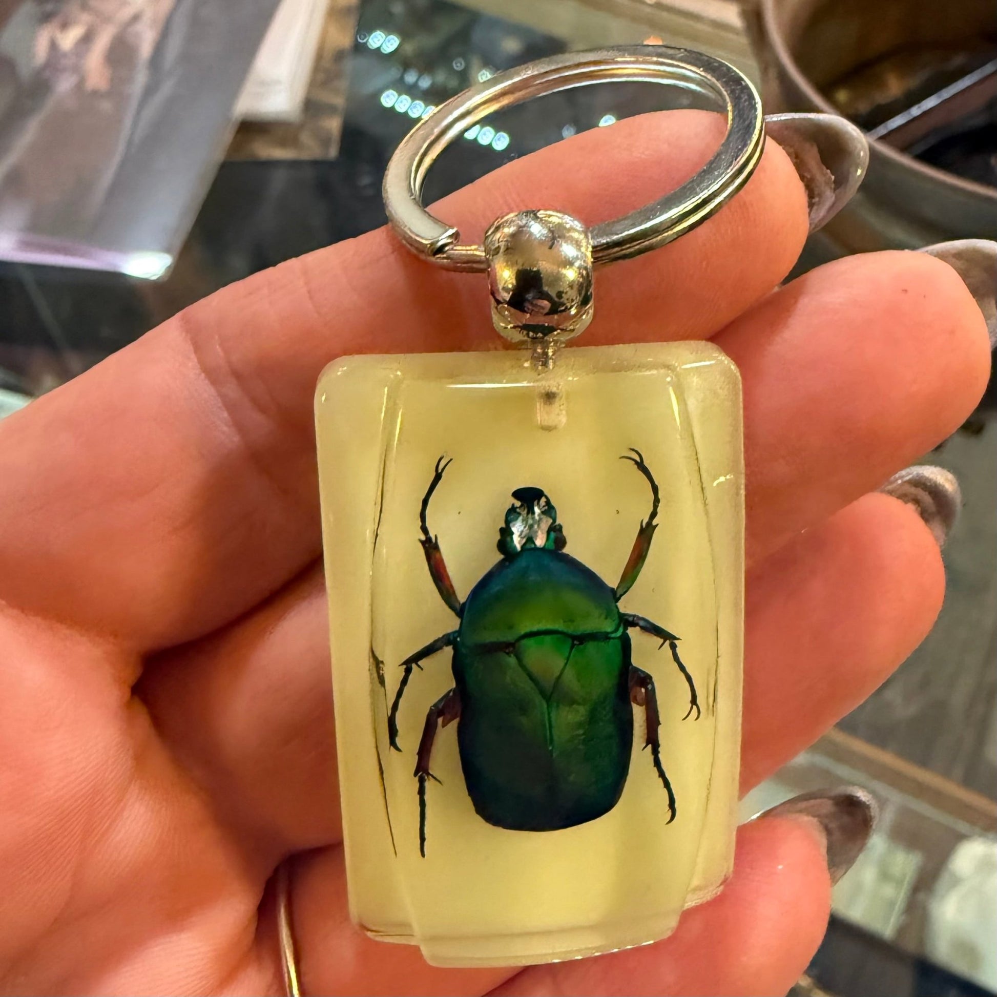 Green Beetle Glow in the Dark Rectangular Lucite Keychain - Loved To Death
