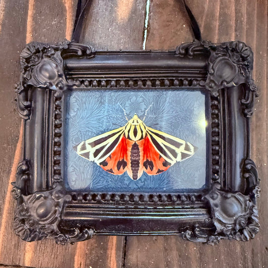 Harnessed moth { Tiffany Dow } Black Framed Giclee Print - Loved To Death