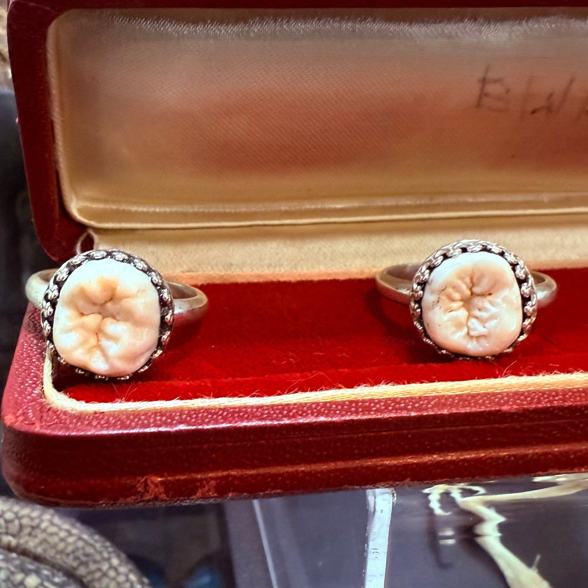 Human Tooth Ring Sterling Crown Setting - Loved To Death