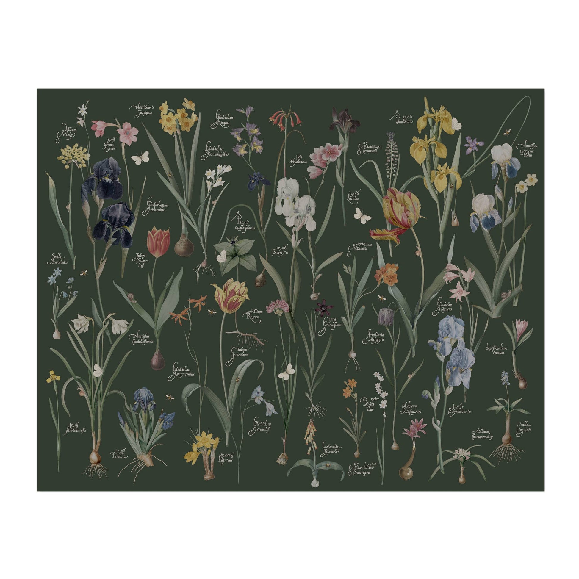 Lilies Wrapping Paper - Loved To Death