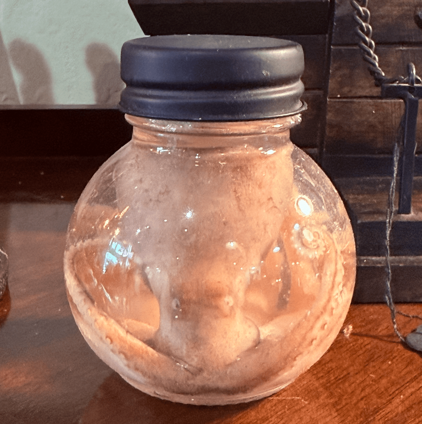 Octopus Specimen Globe - Loved To Death