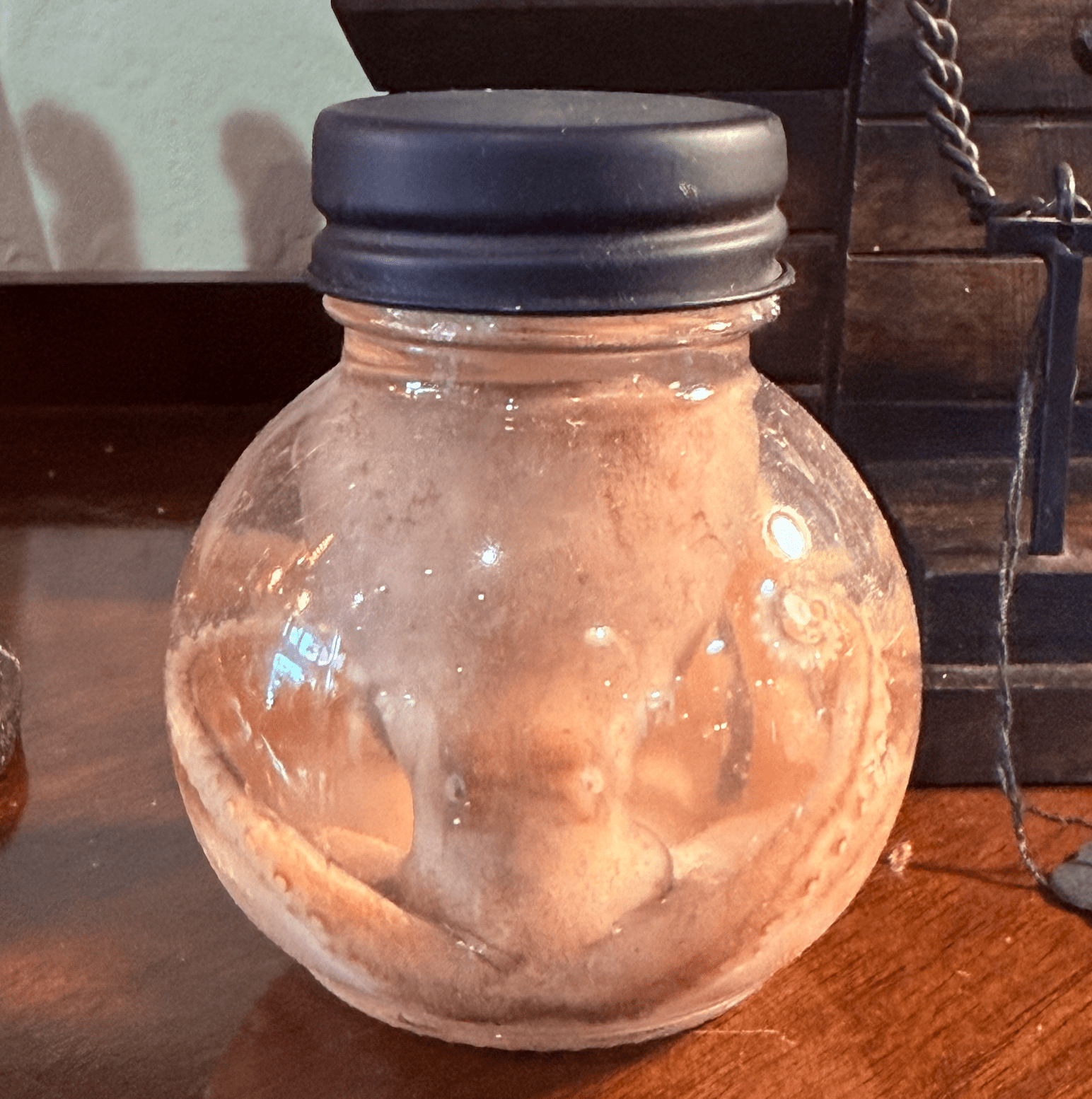 Octopus Specimen Globe - Loved To Death