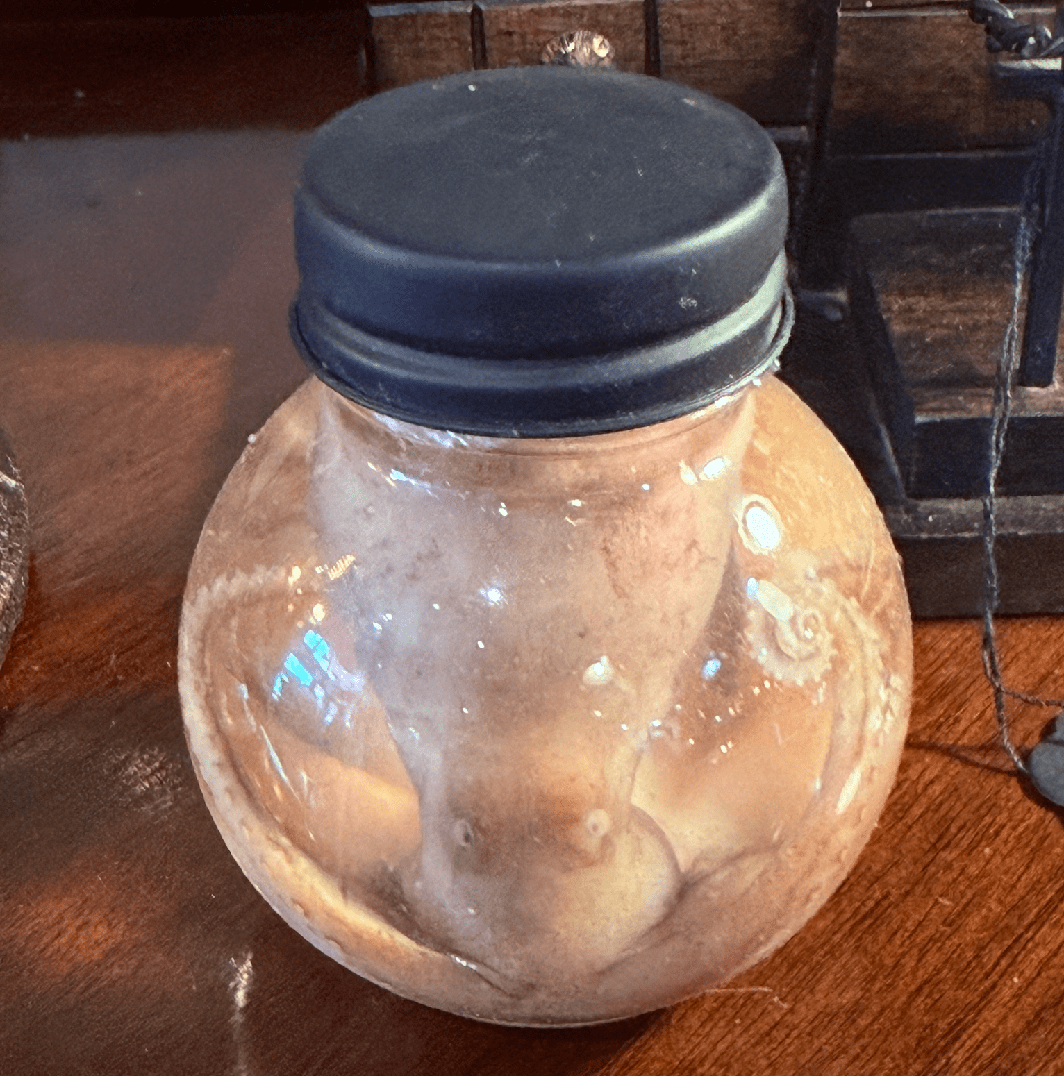 Octopus Specimen Globe - Loved To Death