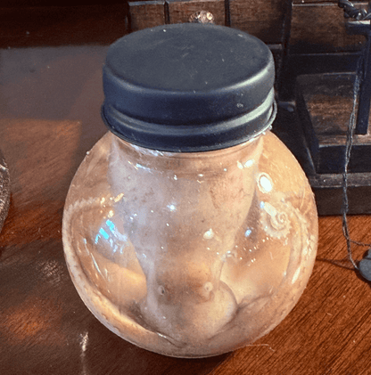 Octopus Specimen Globe - Loved To Death
