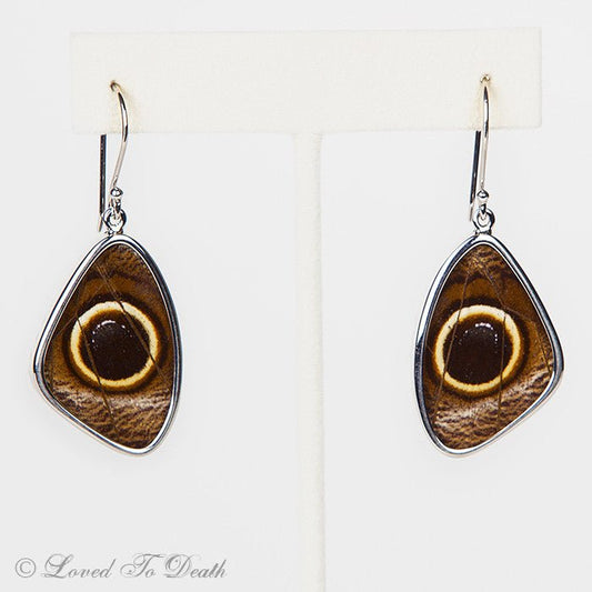 Owl Moth Wing Sterling Earrings - Loved To Death