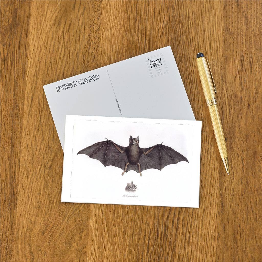 Postcard Bat AN - 298 - Loved To Death