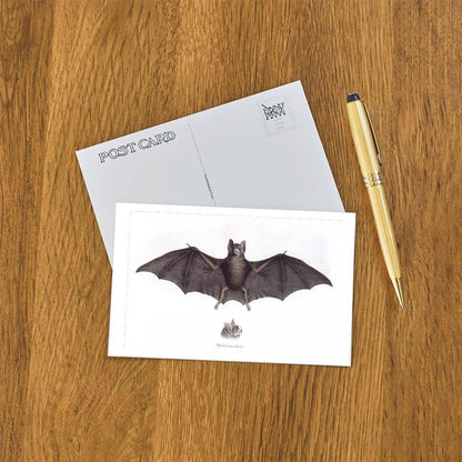 Postcard Bat AN - 298 - Loved To Death