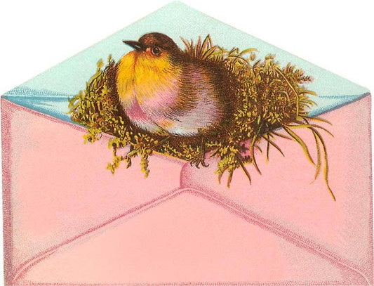 Postcard Bird and Nest in Envelope LT - 326 - Loved To Death