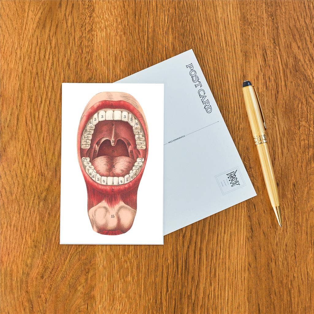 Postcard Diagram of Mouth and Teeth AY - 48 - Loved To Death