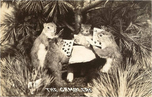 Postcard Gambling Squirrels GB - 21 - Loved To Death