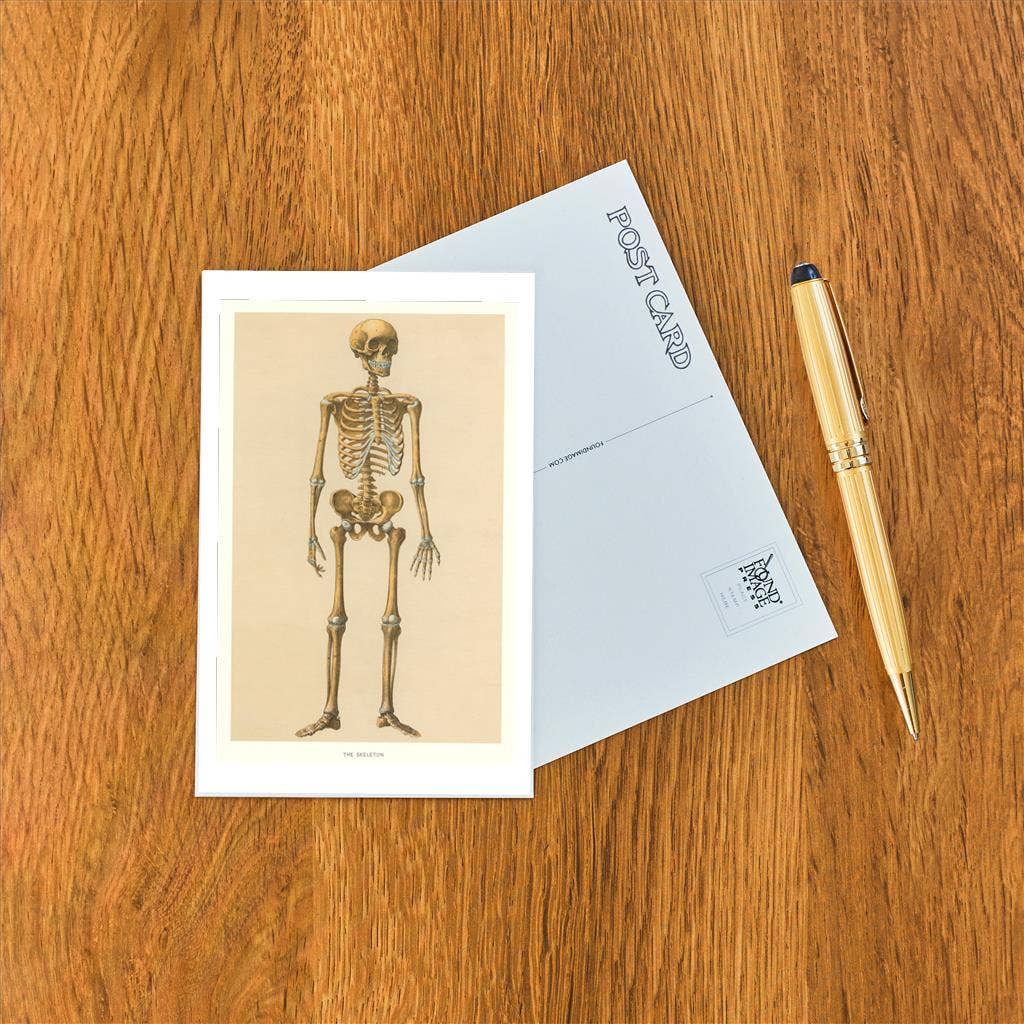 Postcard Human Skeleton AY - 70 - Loved To Death