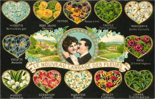 Postcard Language of Flowers FE - 33 - Loved To Death
