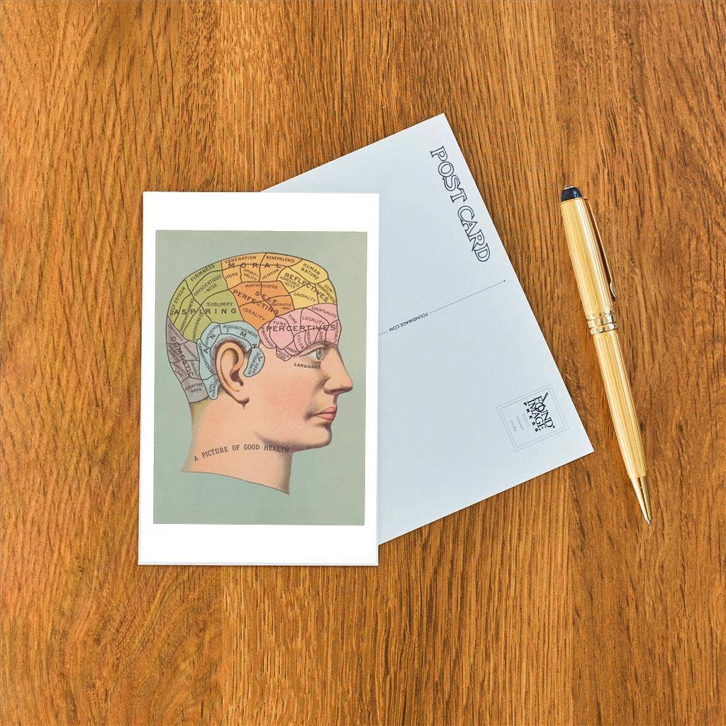 Postcard Phrenology Chart of Head - Loved To Death