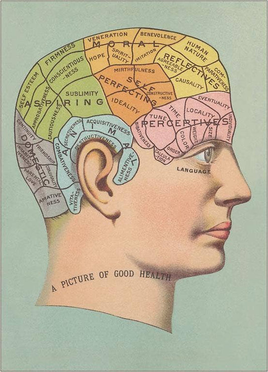 Postcard Phrenology Chart of Head - Loved To Death