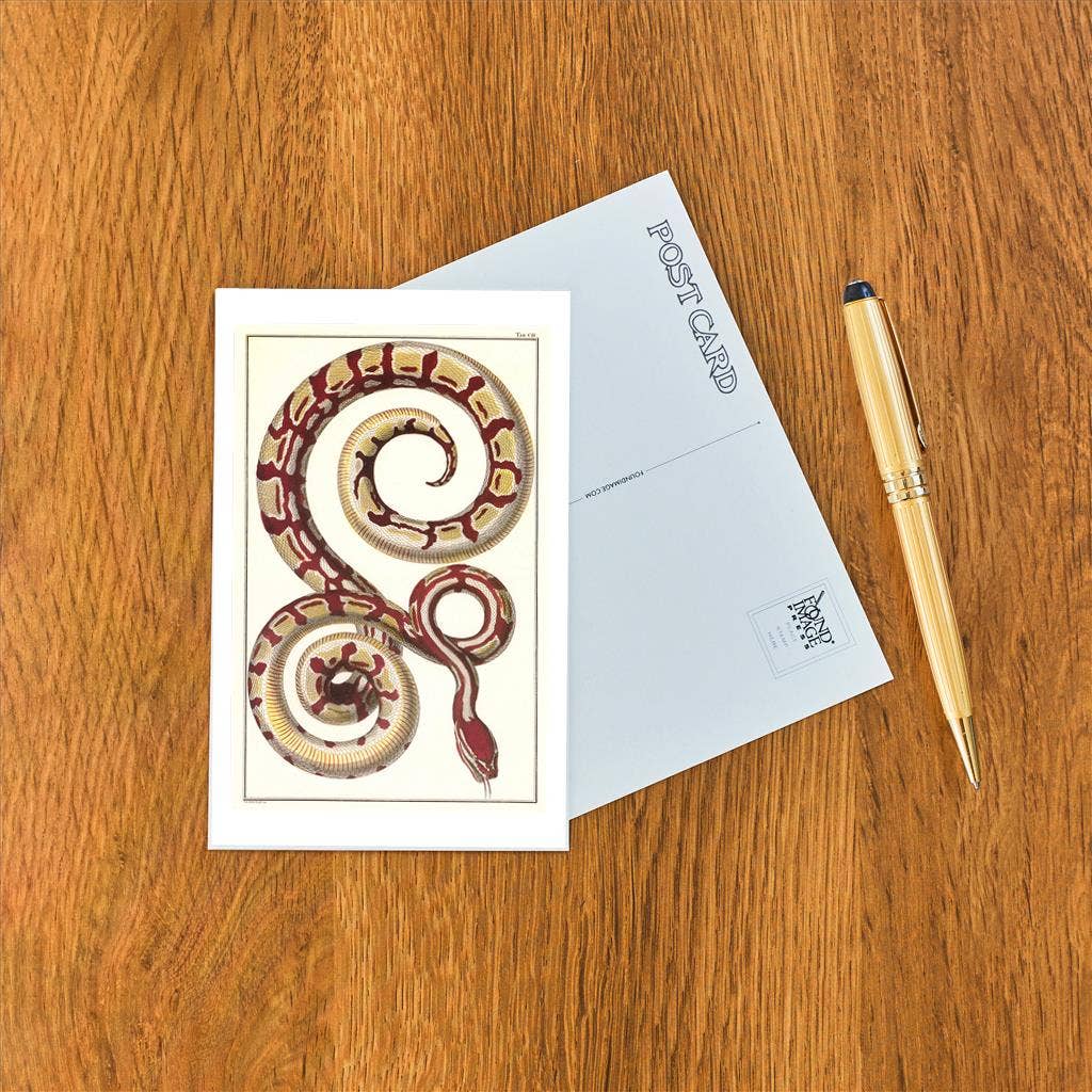 Postcard Red Patterned Snake AN - 276 - Loved To Death