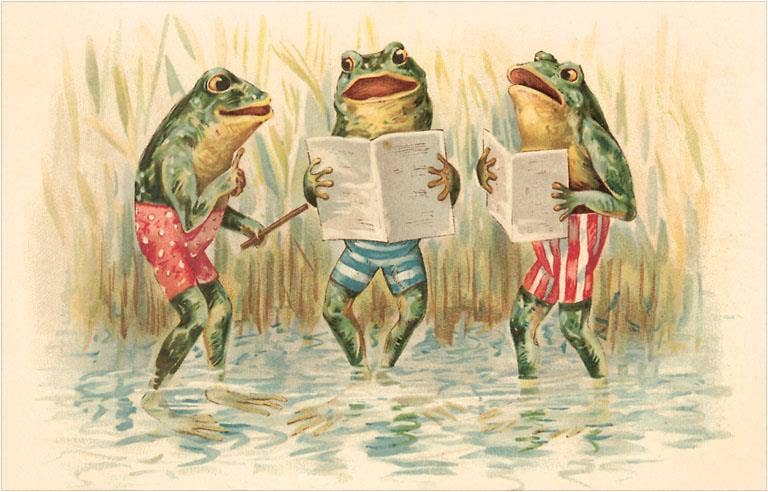 Postcard Singing Frogs MS - 351 - Loved To Death