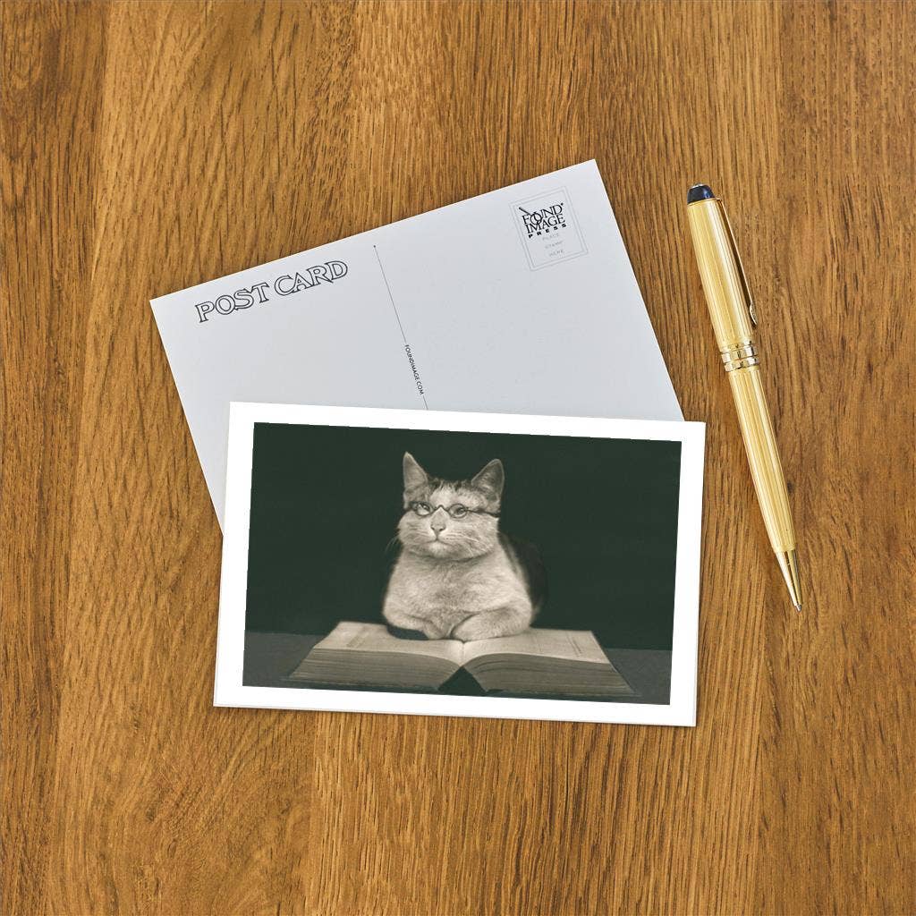 Postcard Wise Cat Reading Book LT - 229 - Loved To Death