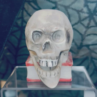 Antique 1930’s Bisque Skull on Book Nodder Candleholder