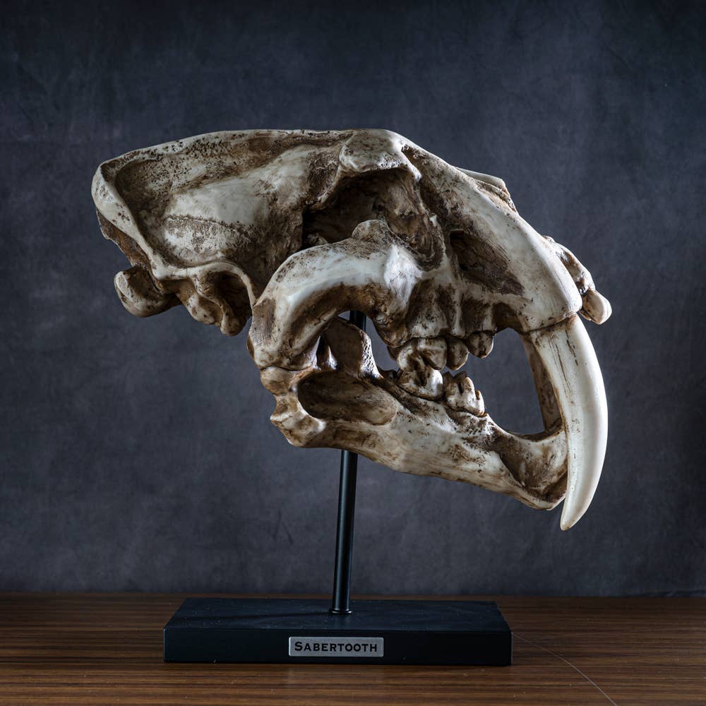 Sabertooth Skull on Base – Loved To Death