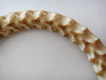 Snake Vertebrae Bracelet: Tan / 1 / 7" - Loved To Death