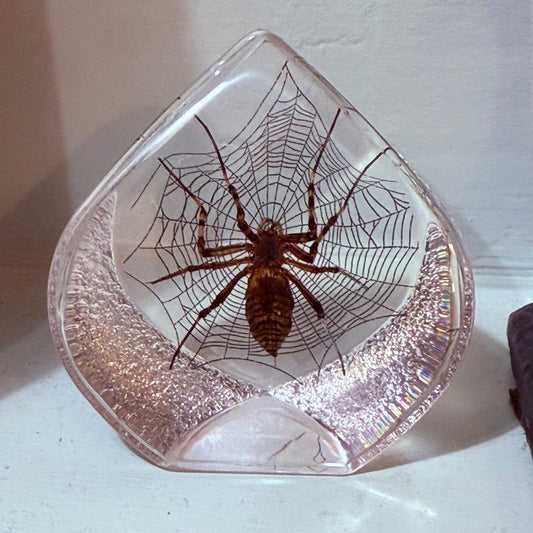 Spider in Web Teardrop Lucite - Loved To Death