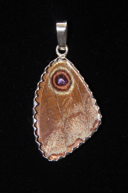 Sterling Blue Flash Medium Butterfly Wing Pendant - Loved To Death