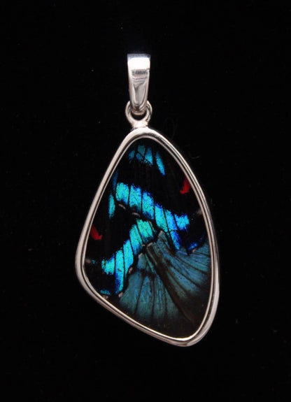 Sterling Blue Flash Medium Butterfly Wing Pendant - Loved To Death