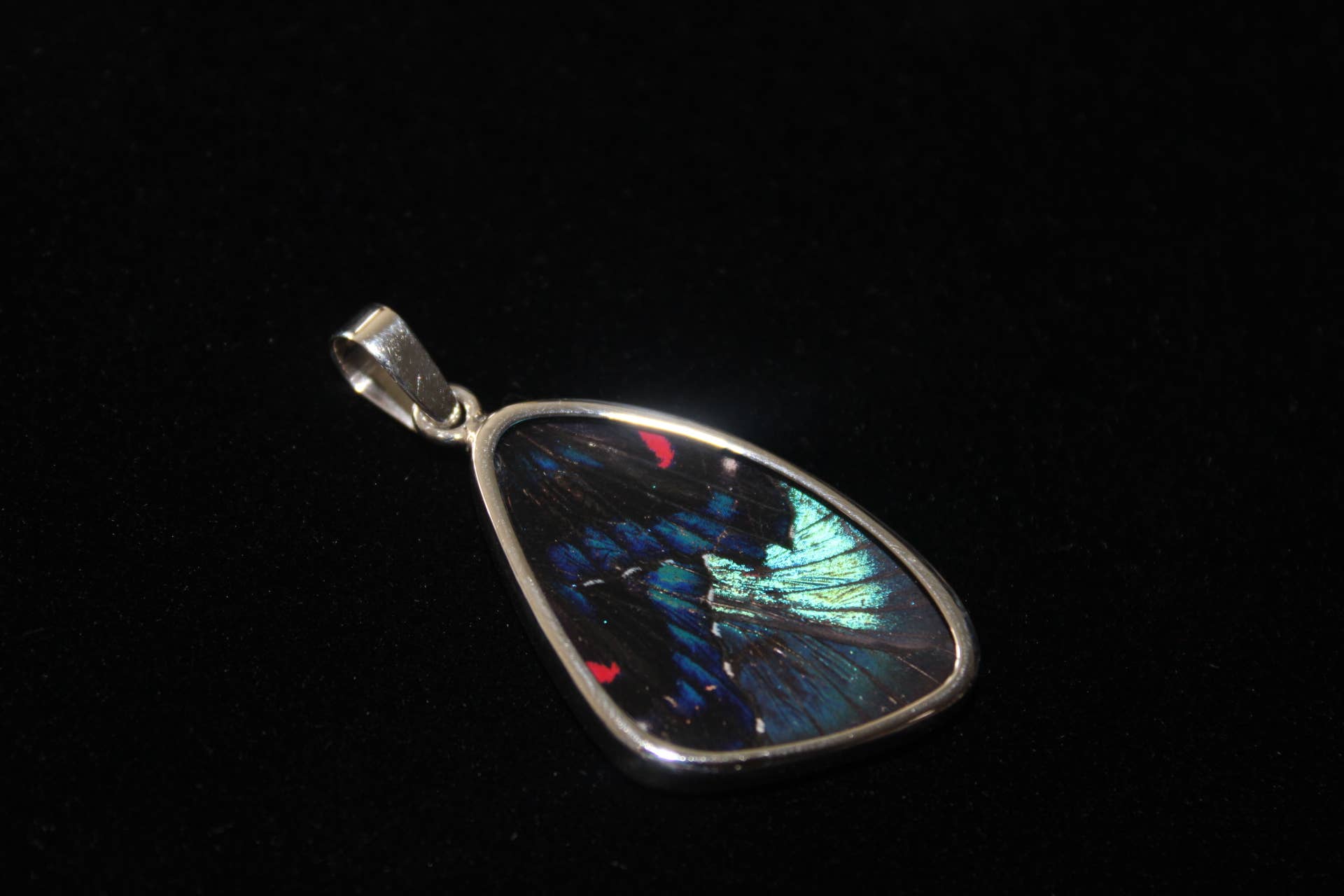Sterling Blue Flash Medium Butterfly Wing Pendant - Loved To Death