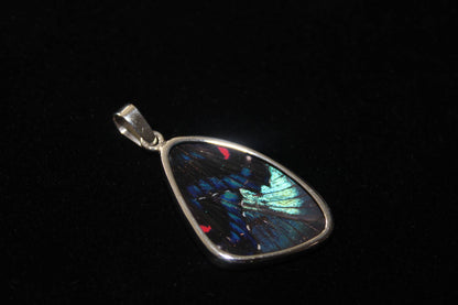 Sterling Blue Flash Medium Butterfly Wing Pendant - Loved To Death