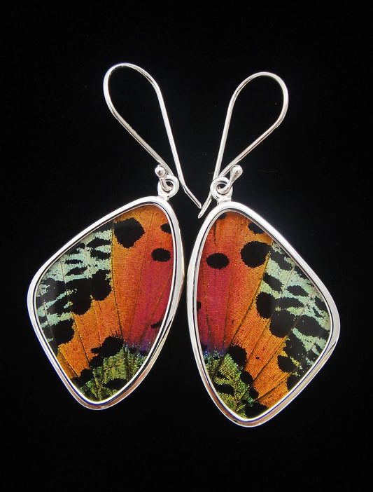 Sterling Sunset Moth Butterfly Medium Earrings - Loved To Death