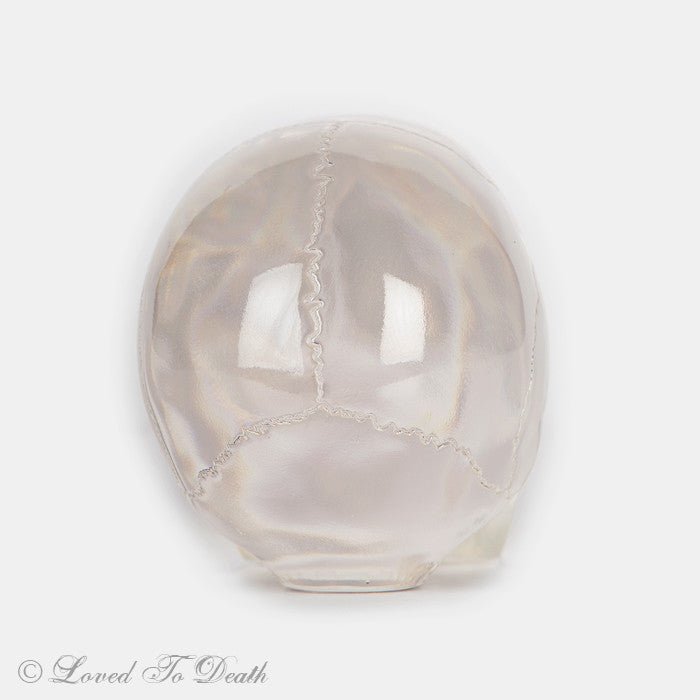 Translucent Skull – Loved To Death