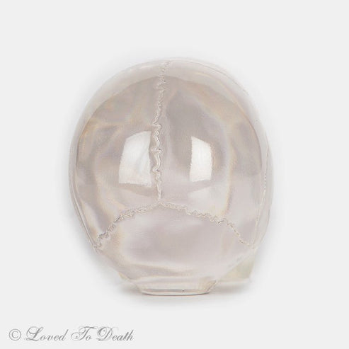 Translucent Skull – Loved To Death