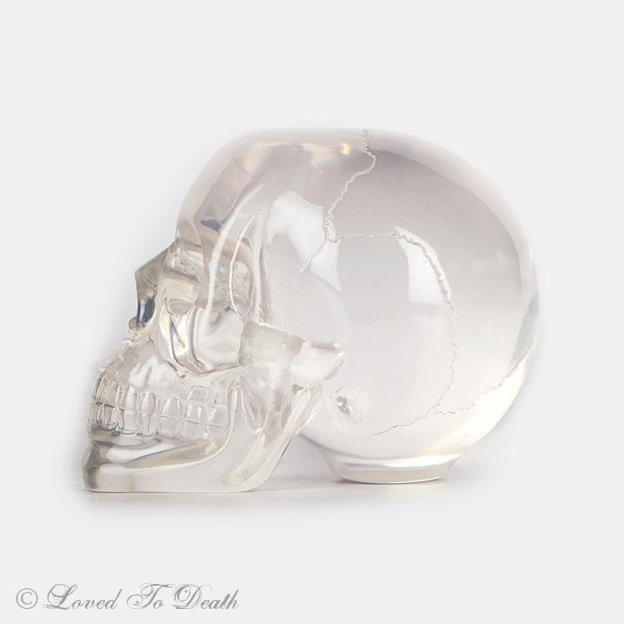 Translucent Skull – Loved To Death