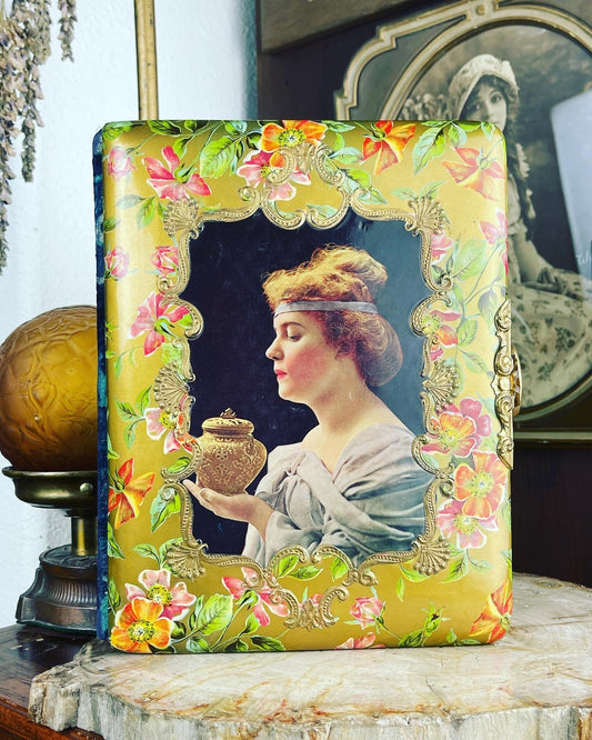 Victorian Celluloid & Velvet Nouveau Woman Photo Album Pristine - Loved To Death