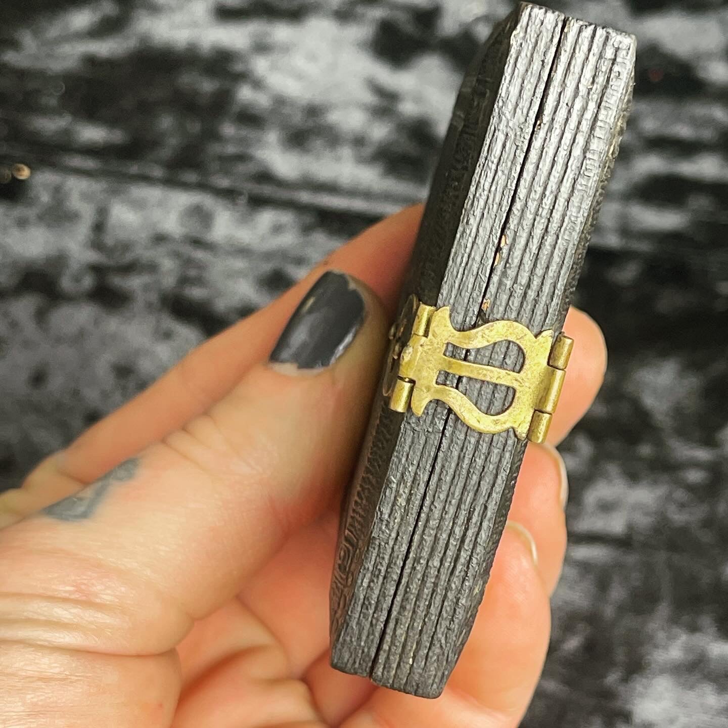Victorian Hand Tinted Tintype in Black Latched Case - Loved To Death