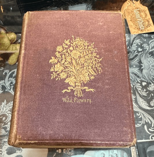 Victorian { Wildflowers } Book 1869 Anne Pratt - Loved To Death