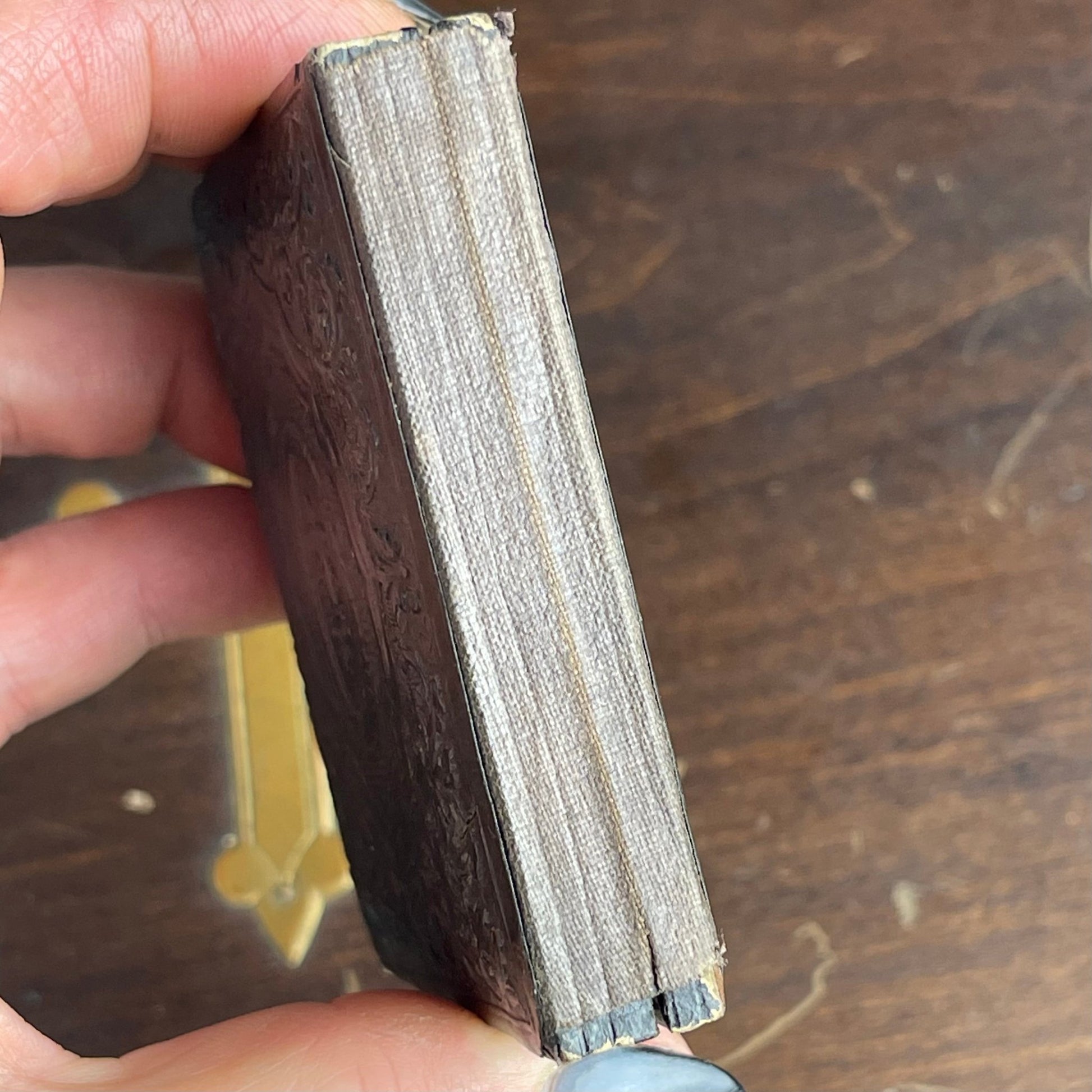 Victorian Woman Gold Accents Daguerreotype In Case - Loved To Death