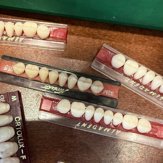 Vintage Dental Porcelain Teeth Strip - Loved To Death