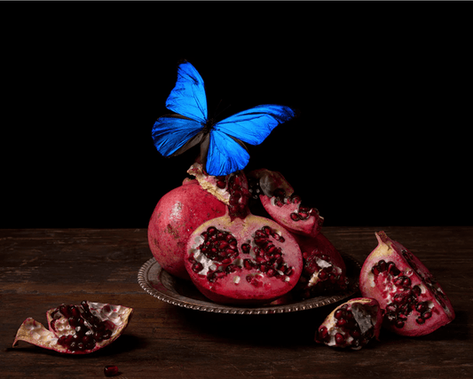 { VISITARE } Veneration of Light Limited Photo Print 8" x 10" - Loved To Death
