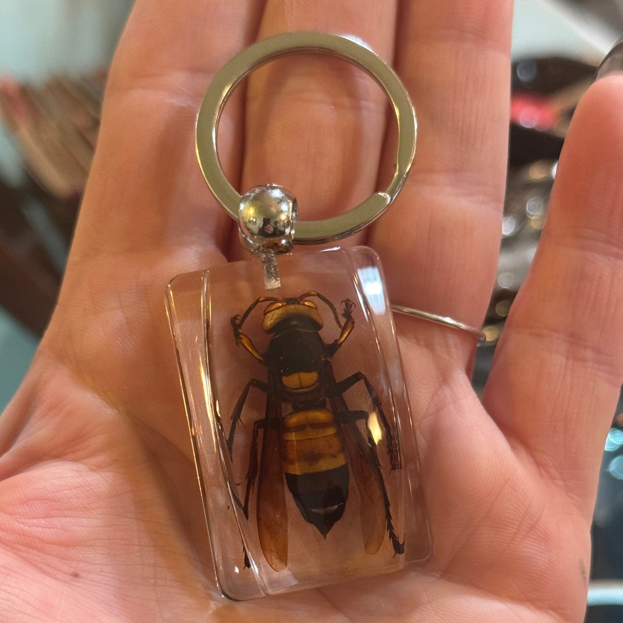 Wasp Lucite Keychain – Loved To Death