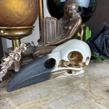 Load image into Gallery viewer, Raven Skull Resin
