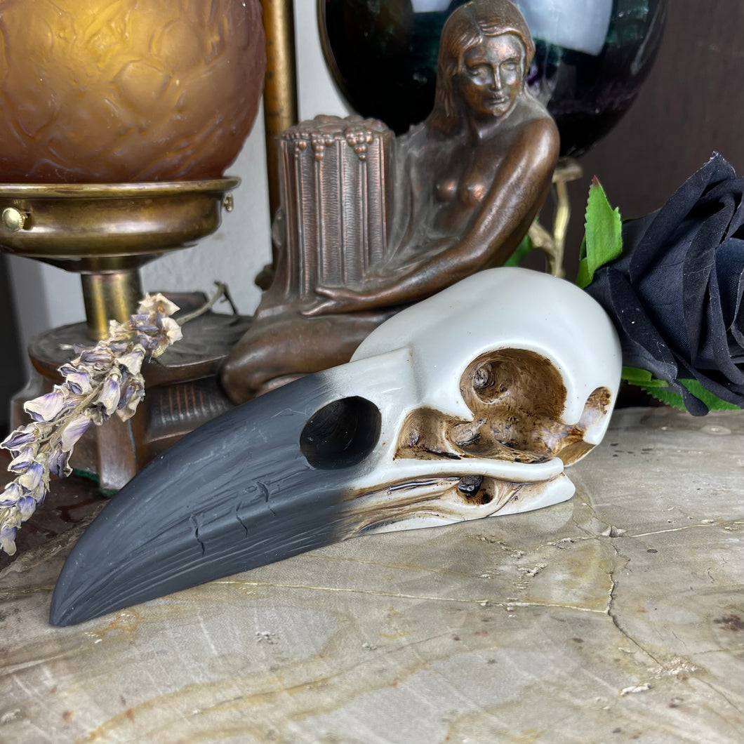 Raven Skull Resin