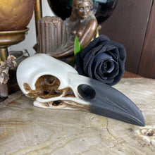 Load image into Gallery viewer, Raven Skull Resin

