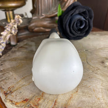 Load image into Gallery viewer, Raven Skull Resin
