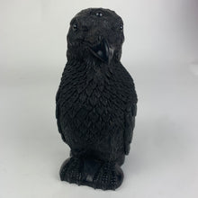 Load image into Gallery viewer, Mercurious Jet Carved Three Eyed Raven Standing
