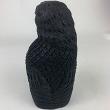 Load image into Gallery viewer, Mercurious Jet Carved Three Eyed Raven Standing
