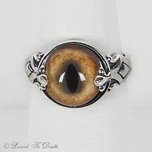 Load image into Gallery viewer, Bobcat Taxidermy Eye Sterling Ring
