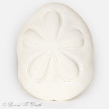 Load image into Gallery viewer, Sea Biscuit Sand Dollar
